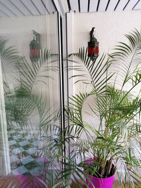 Discrétion de la Goulotte extérieure Bd Lord DUVEEN par Génération Confort